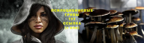 СК Магас