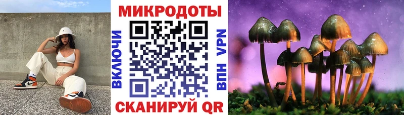 Купить закладки  Щигры  Галлюциногенные грибы мухоморы 
